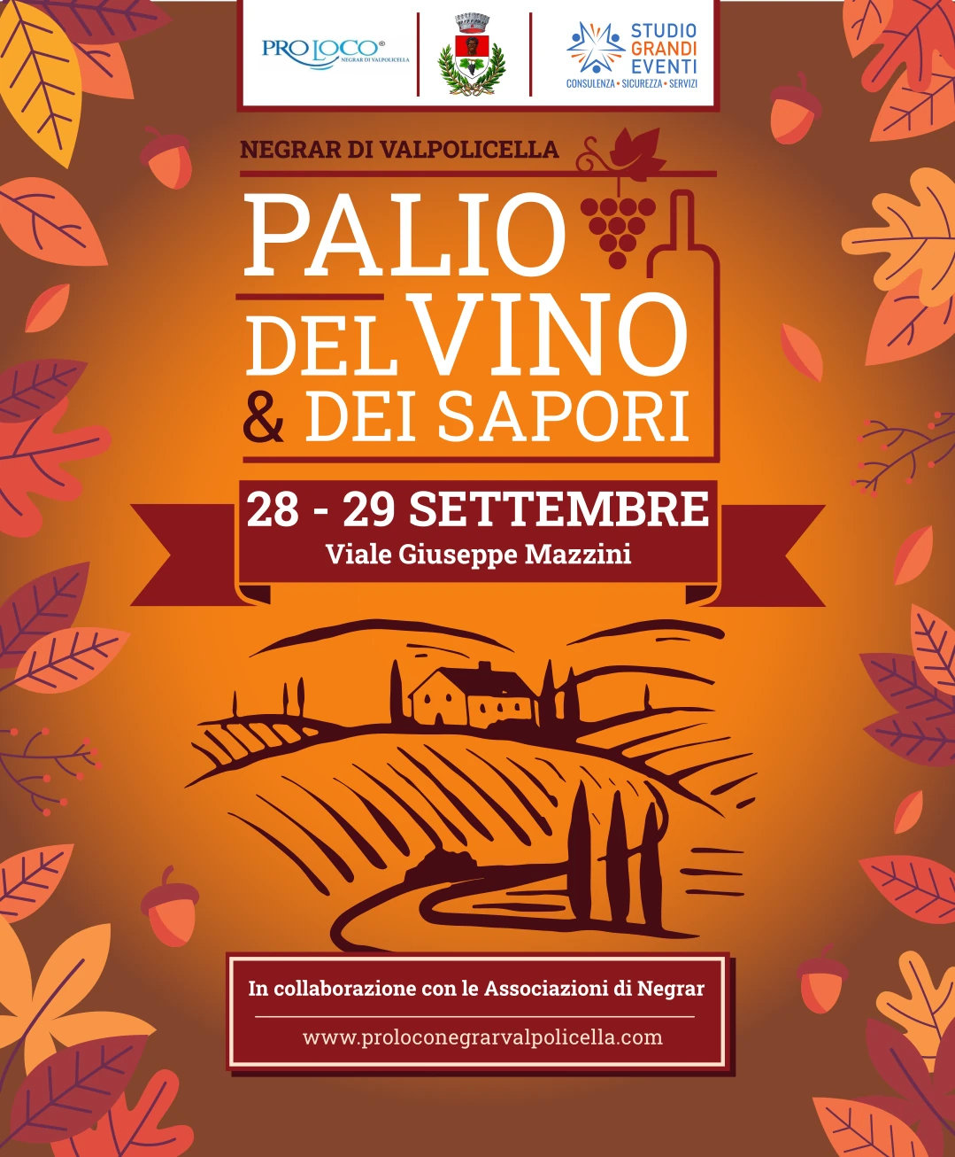 PaliodelVino